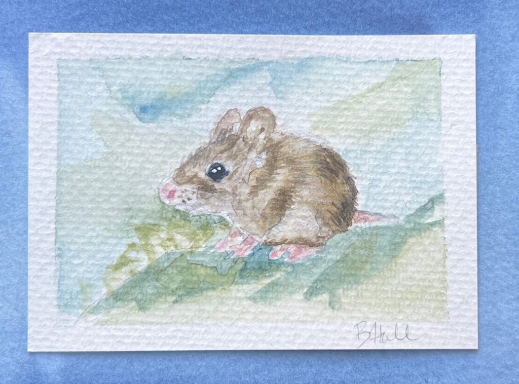 Watercolor painting of a mouse.