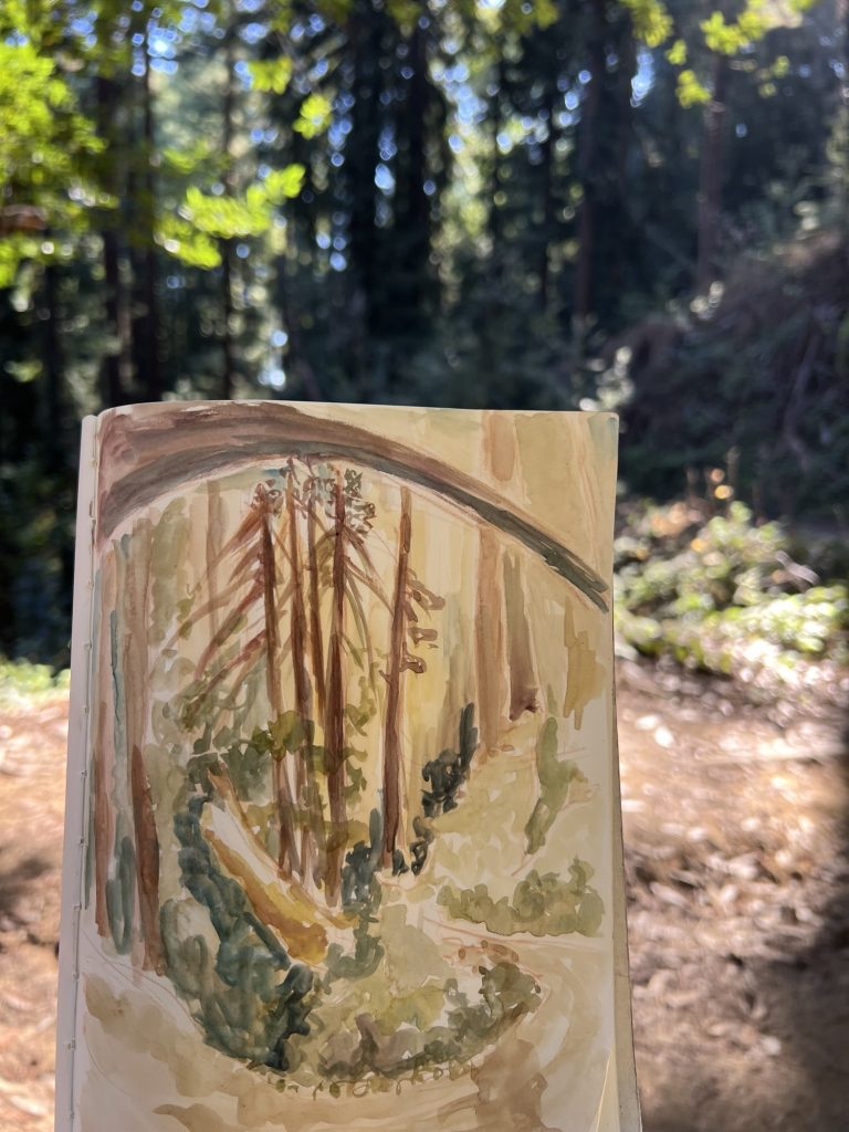 Watercolor of a trail in Wunderlich park in Woodside, CA. 