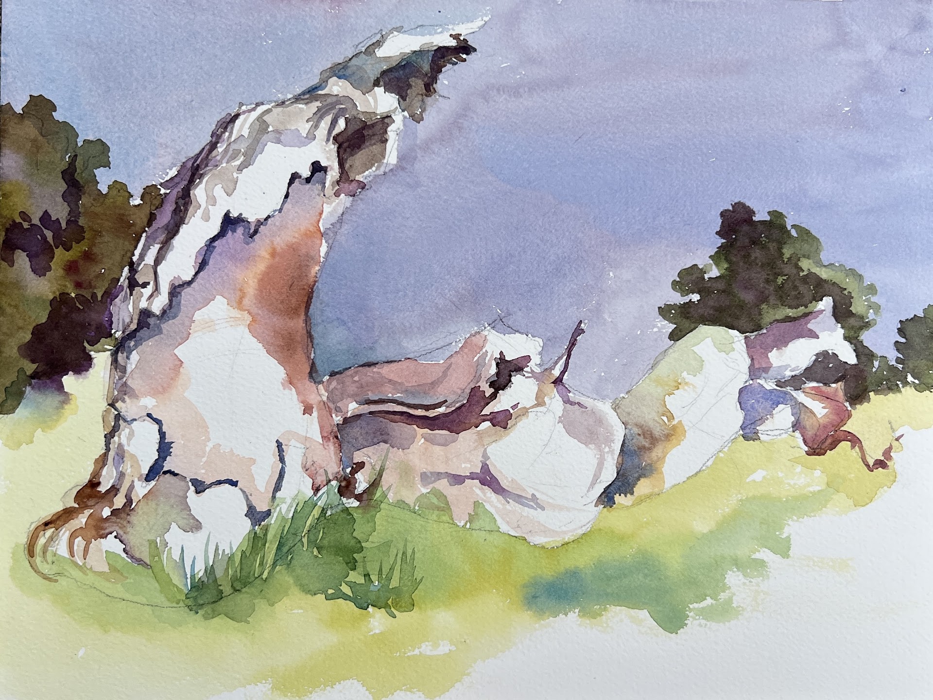 Watercolor of a fallen valley oak tree painted by Brenna Hall in Rancho San Antonio preserve.